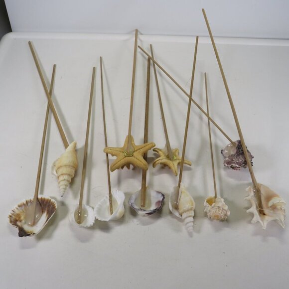 REAL seashells on wooden picks for flower arrangements 10-12" long - Picture 3 of 8